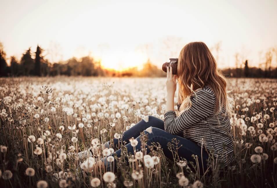 A photographer sitting in a field of seeding dandelions at sunset