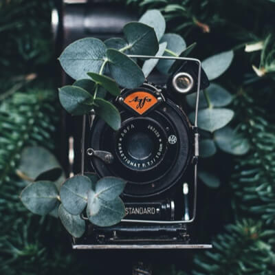 A classic camera covered with some plant material